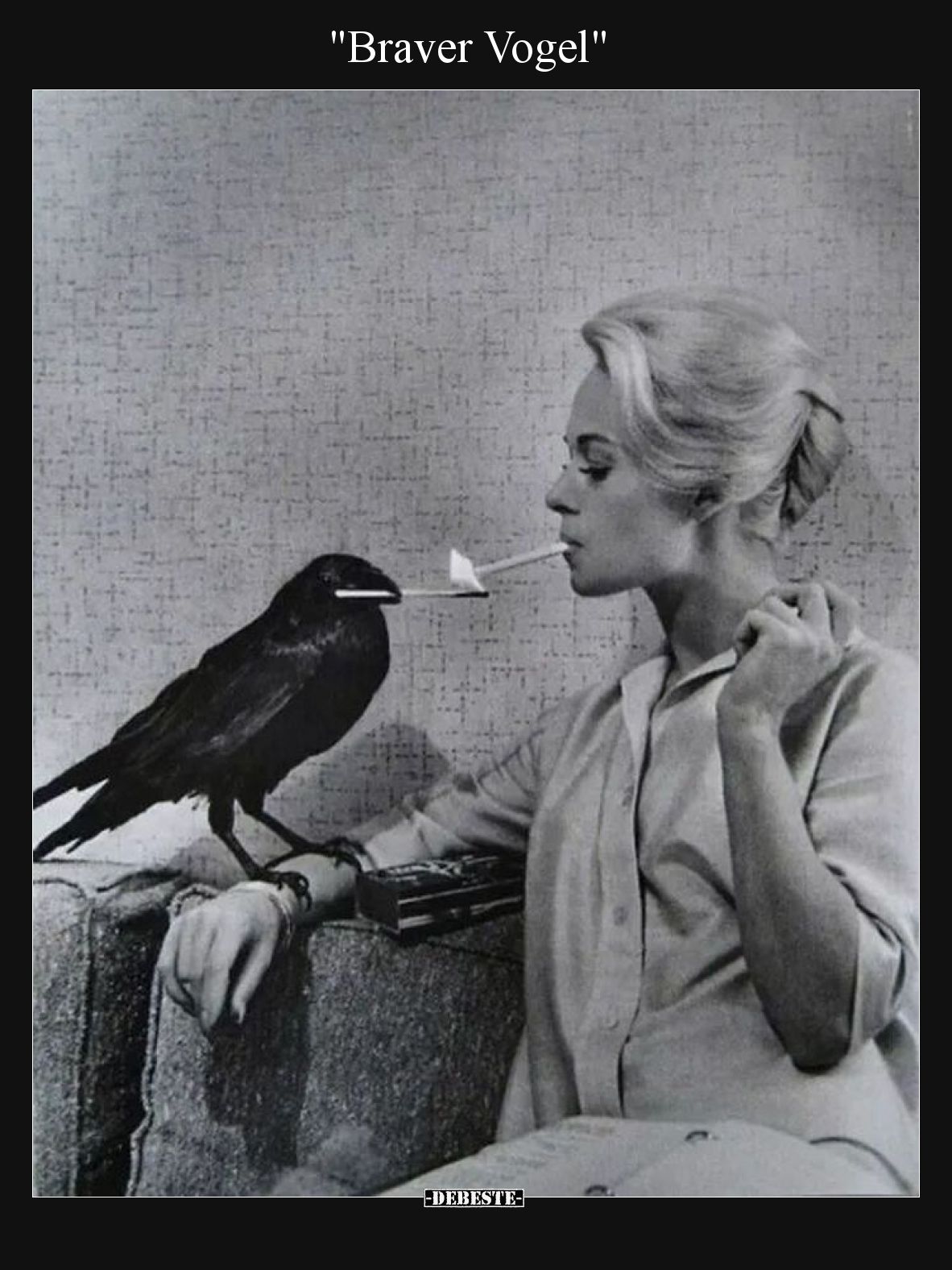 Braver Vogel