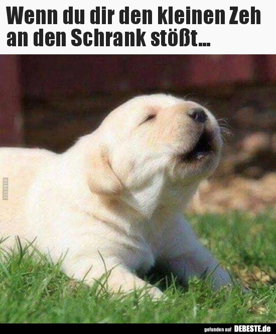 Wenn du dir den kleinen Zeh an den Schrank stößt...