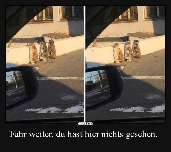 Fahr weiter, du hast hier nichts gesehen. - Lustige Bilder | DEBESTE.de