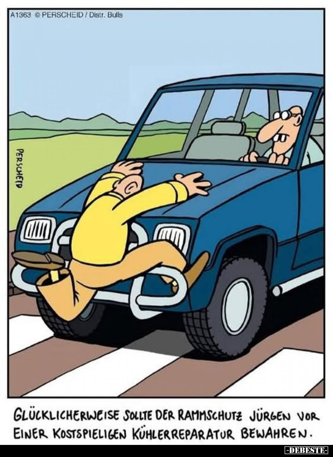 Glücklicherweise sollte der Rammschutz Jürgen vor einer kostspieligen Kühlerreparatur bewahren.