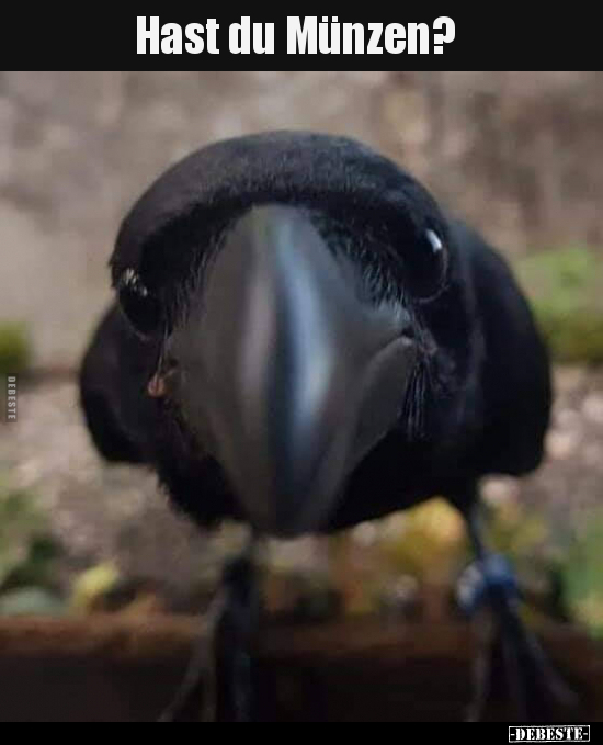 Hast du Münzen?..