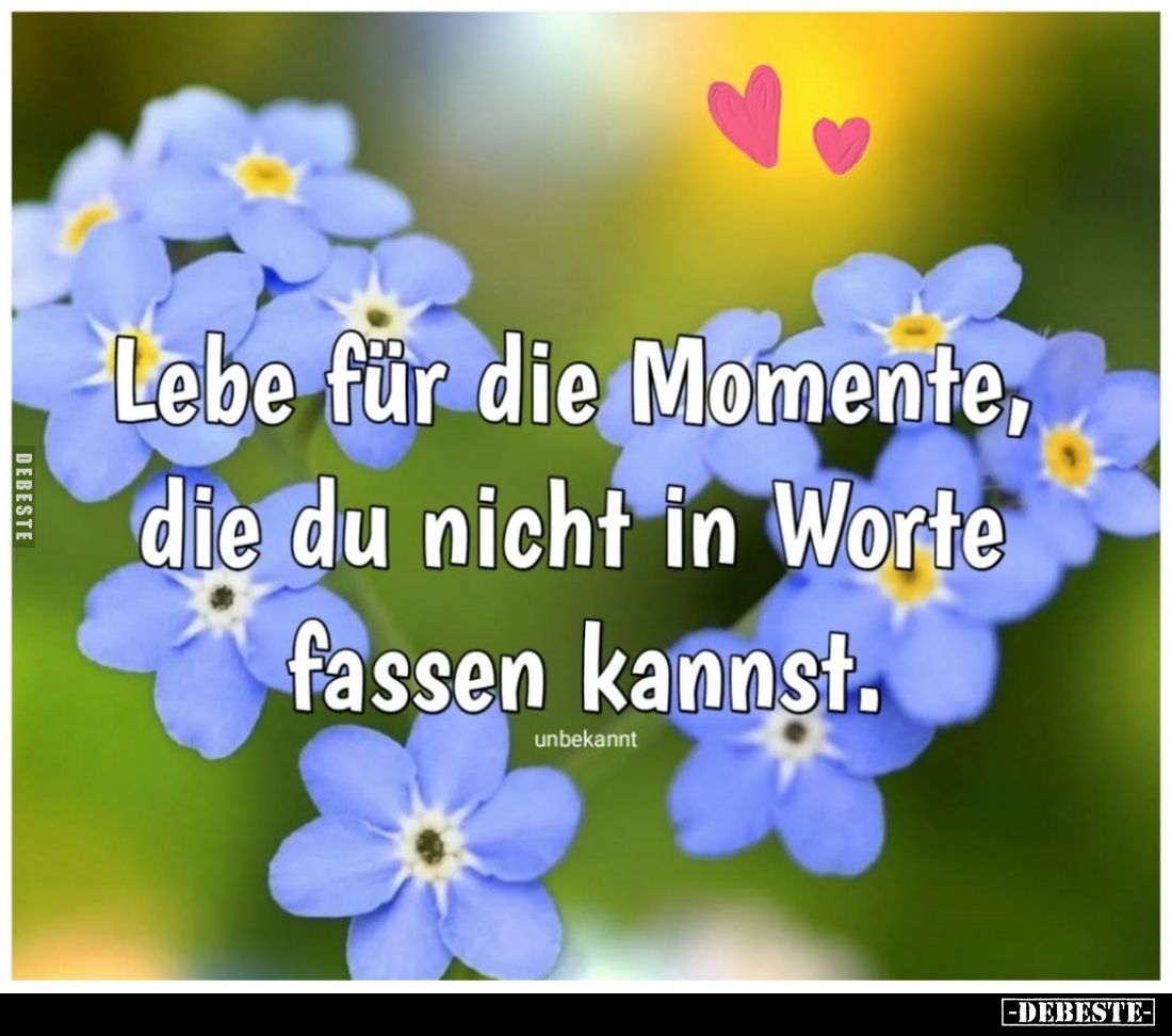 Lebe für die Momente, die du nicht in Worte fassen kannst.