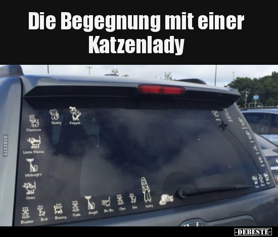 Die Begegnung mit einer Katzenlady.. - Lustige Bilder | DEBESTE.de