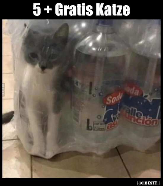 5 + Gratis Katze.. - Lustige Bilder | DEBESTE.de