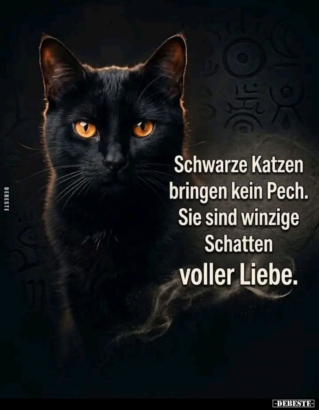Schwarze Katzen bringen kein Pech. Sie sind winzige Schatten
voller Liebe.