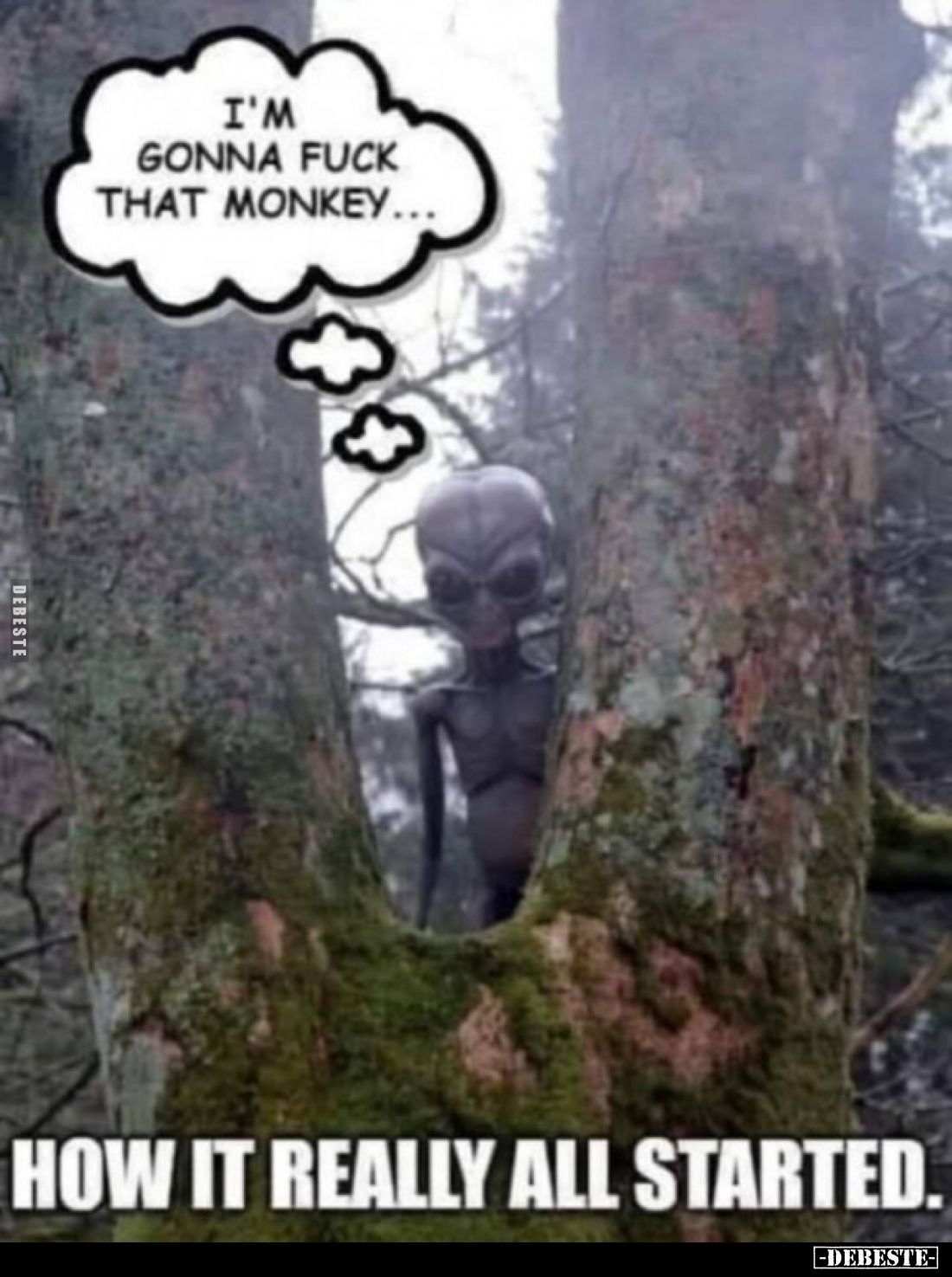 I'M GONNA F*UCK THAT MONΝΚΕΥ... 
HOW IT REALLY ALL STARTED.