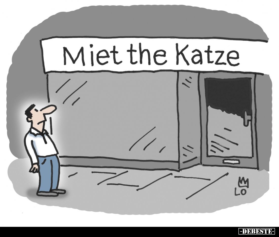 Miet the Katze