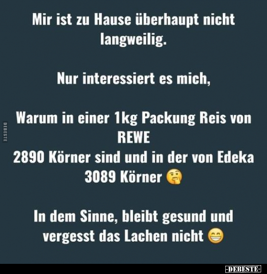 Mir ist zu Hause überhaupt nicht langweilig... - Lustige Bilder | DEBESTE.de