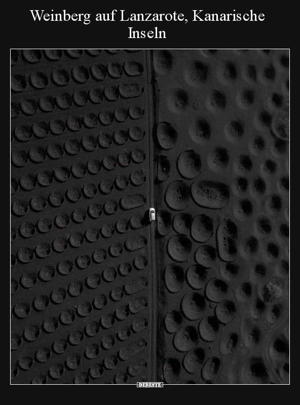 Weinberg auf Lanzarote, Kanarische Inseln..