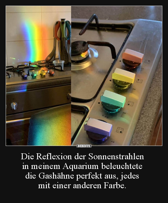 Die Reflexion der Sonnenstrahlen in meinem Aquarium.. - Lustige Bilder | DEBESTE.de