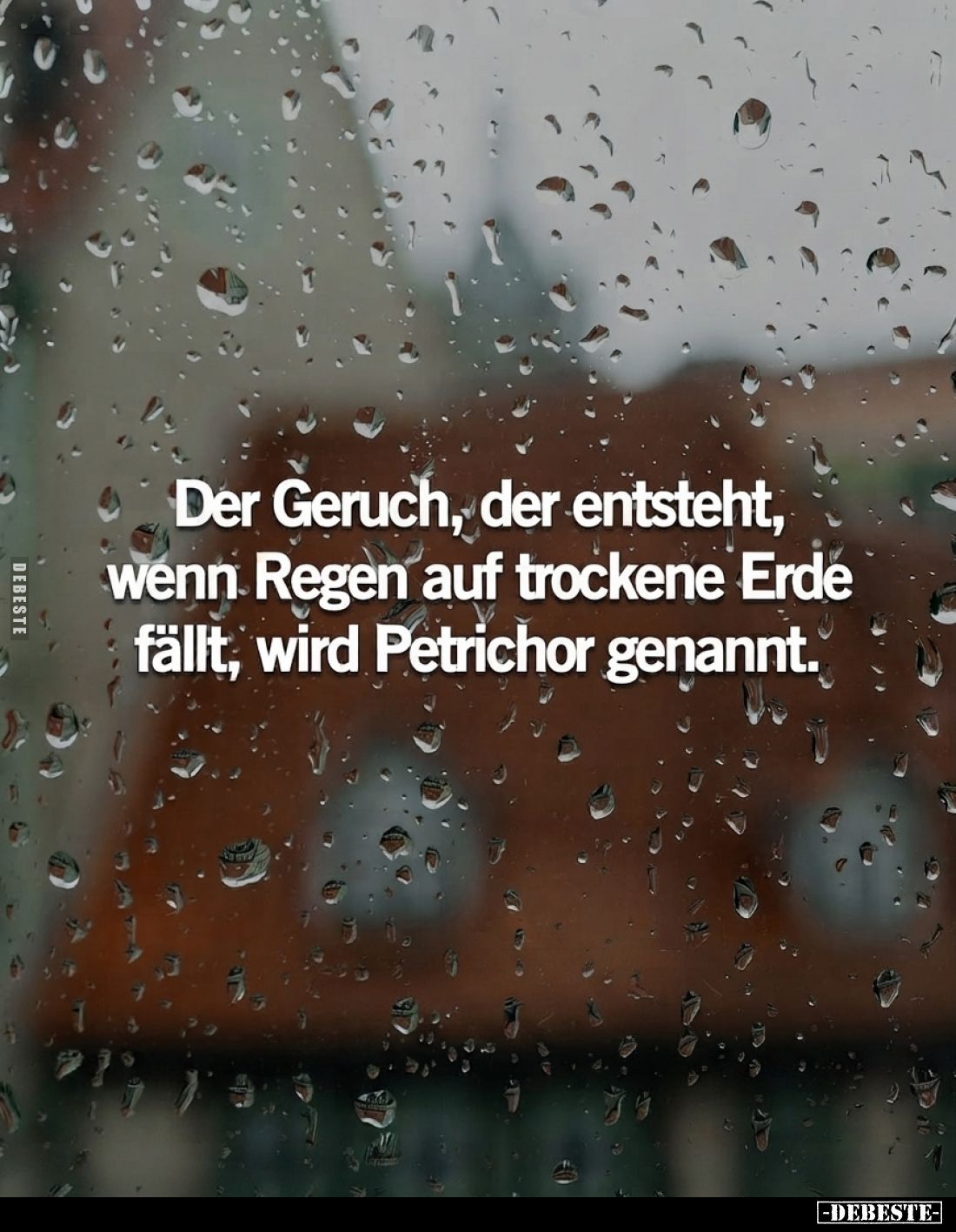 Der Geruch, der entsteht, wenn Regen auf trockene Erde fällt, wird Petrichor genannt.