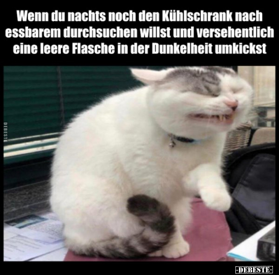 Wenn du nachts noch den Kühlschrank nach essbarem..