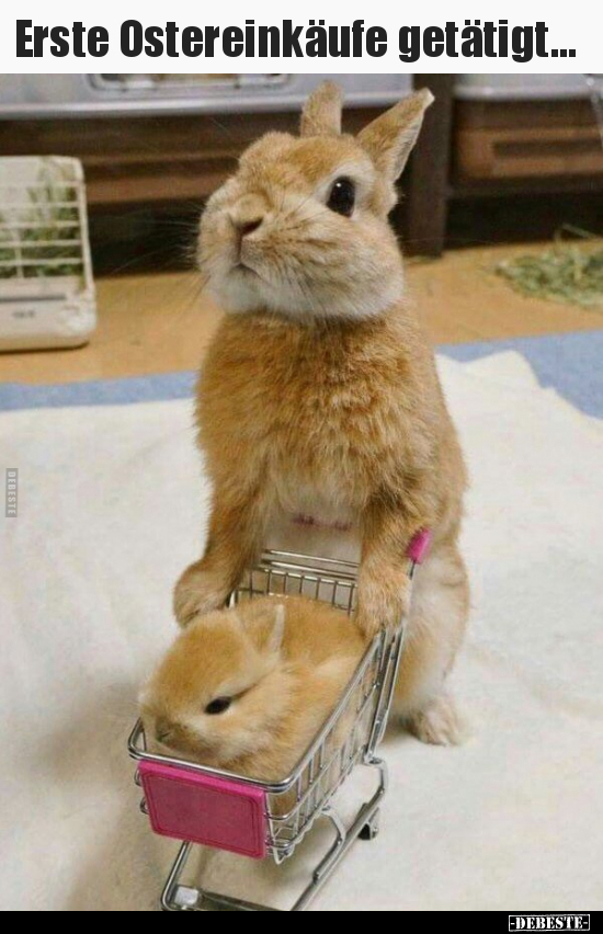 Erste Ostereinkäufe getätigt...