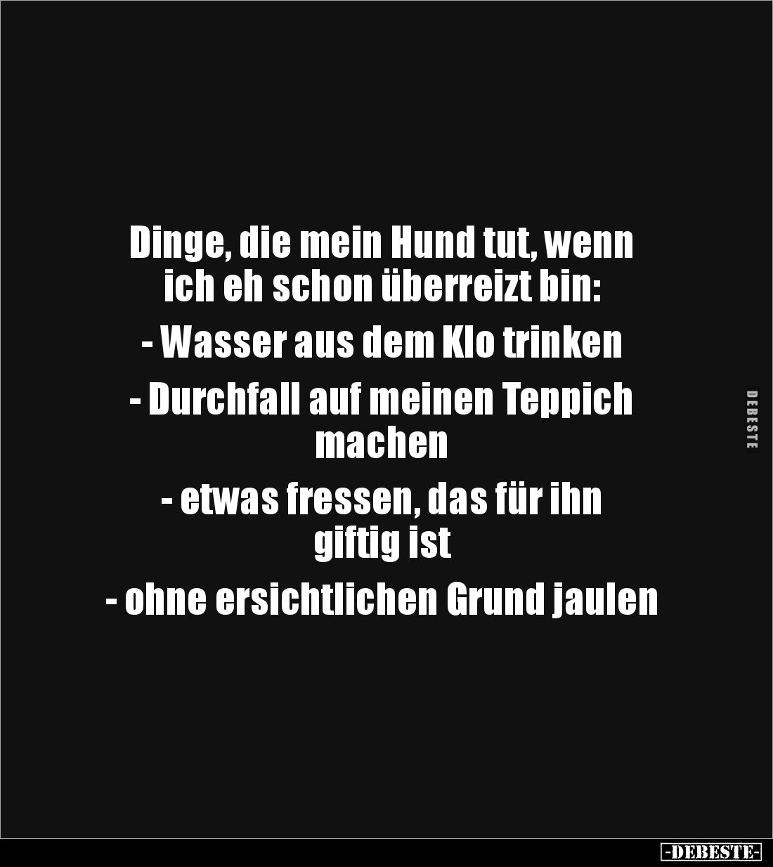 Dinge, die mein Hund tut, wenn 
ich eh schon überreizt bin:

- Wasser aus dem Klo trinken

- Durchfall auf meinen Teppic...