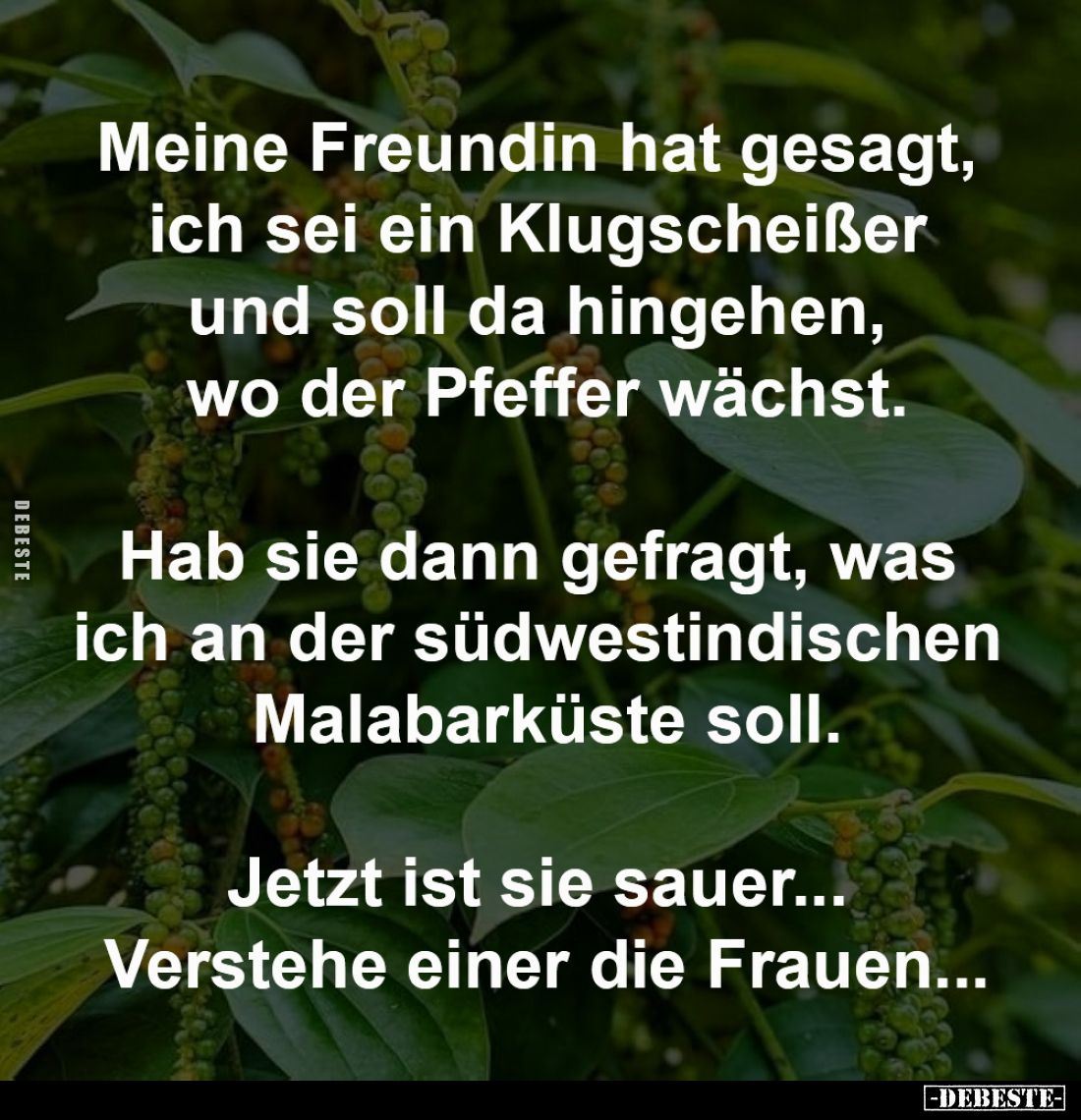Meine Freundin hat gesagt, 
ich sei ein Klugscheißer 
und soll da hingehen, 
wo der Pfeffer wächst.

Hab sie dann gefrag...