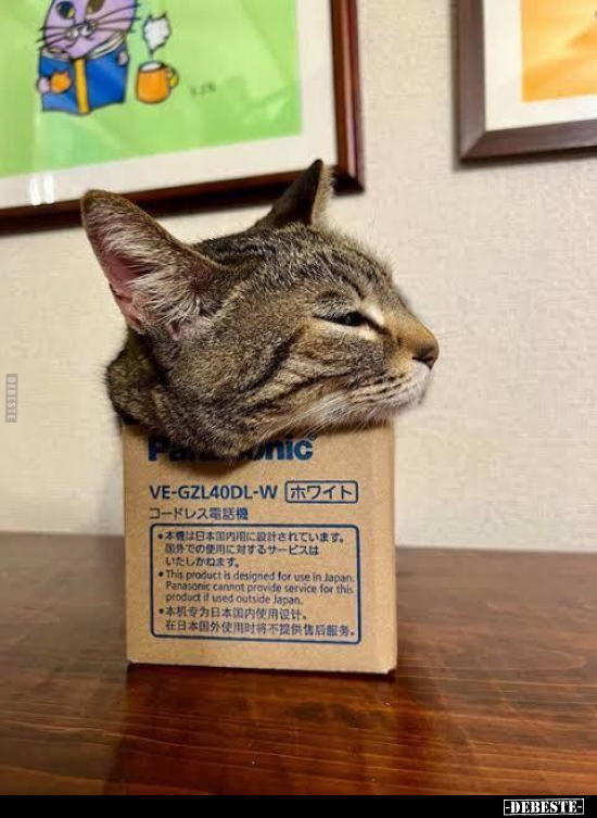  - Lustige Bilder | DEBESTE.de