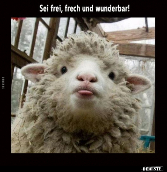 Sei frei, frech und wunderbar!.. - Lustige Bilder | DEBESTE.de
