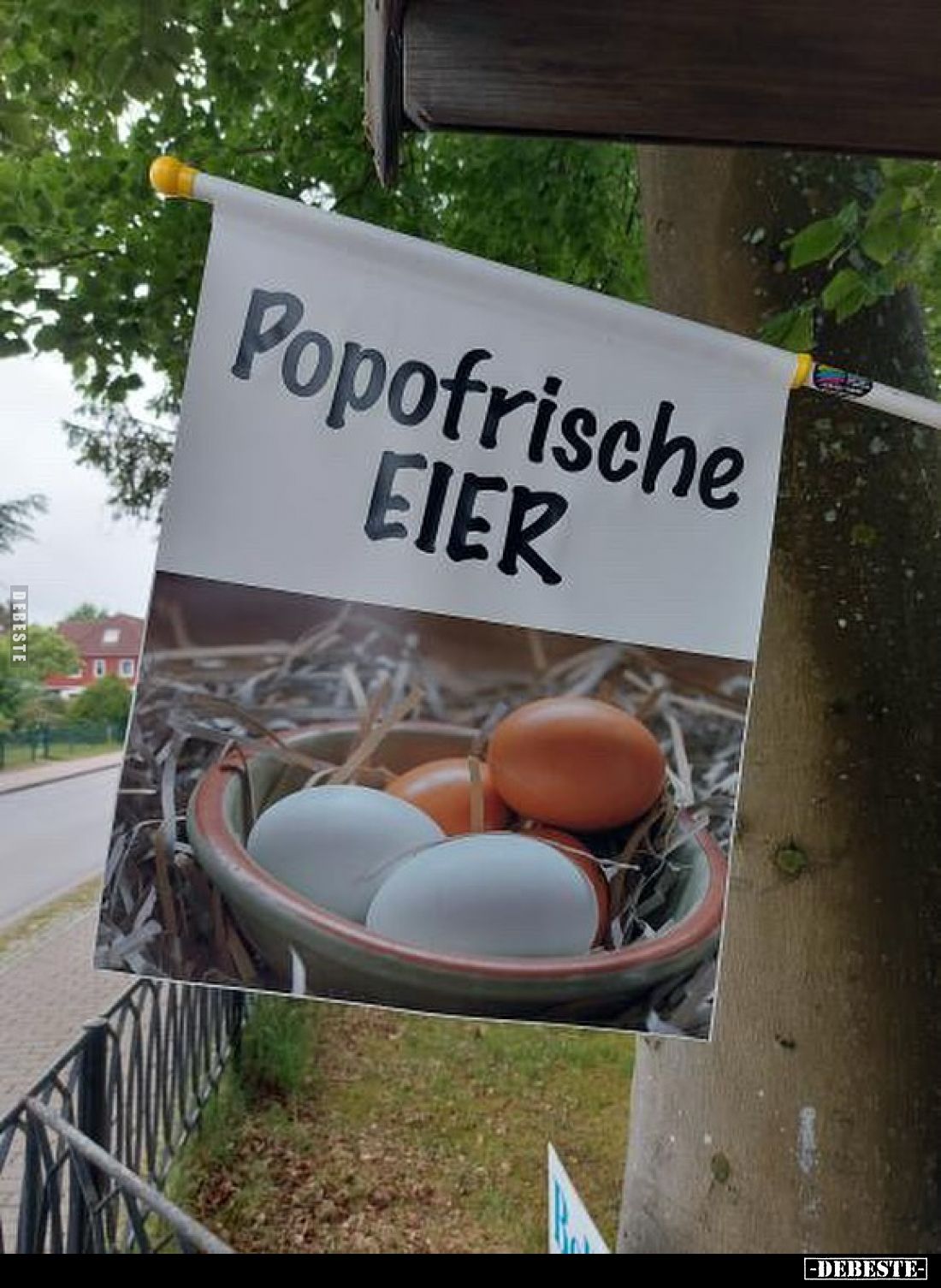 Popofrische Eier.