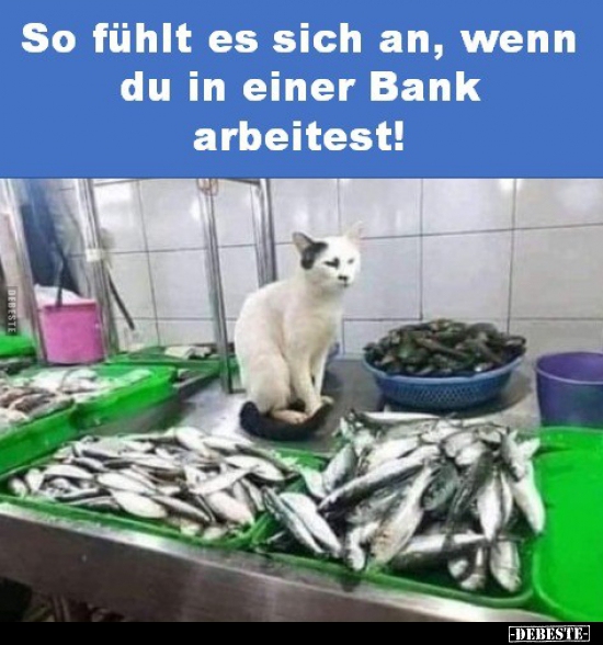 So fühlt es sich an, wenn du in einer Bank arbeitest!.. - Lustige Bilder | DEBESTE.de