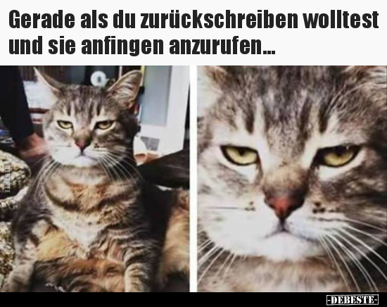 Gerade als du zurückschreiben wolltest und sie anfingen..