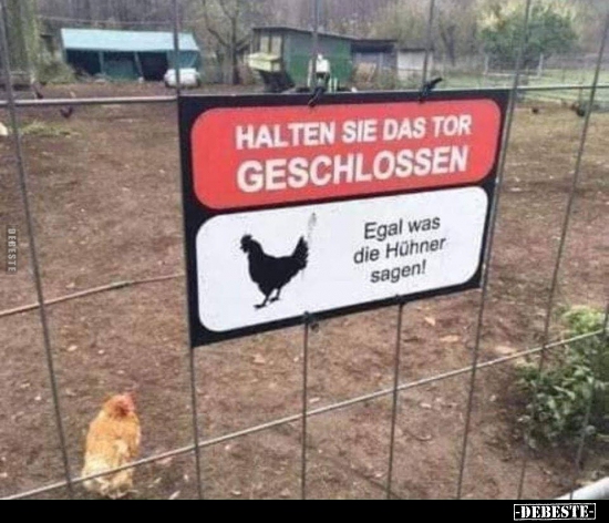 Halten Sie das Tor geschlossen... - Lustige Bilder | DEBESTE.de
