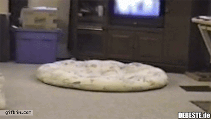 Über sie und was macht er?