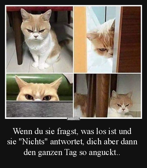 Wenn du sie fragst, was los ist und sie 'Nichts' antwortet.. - Lustige Bilder | DEBESTE.de