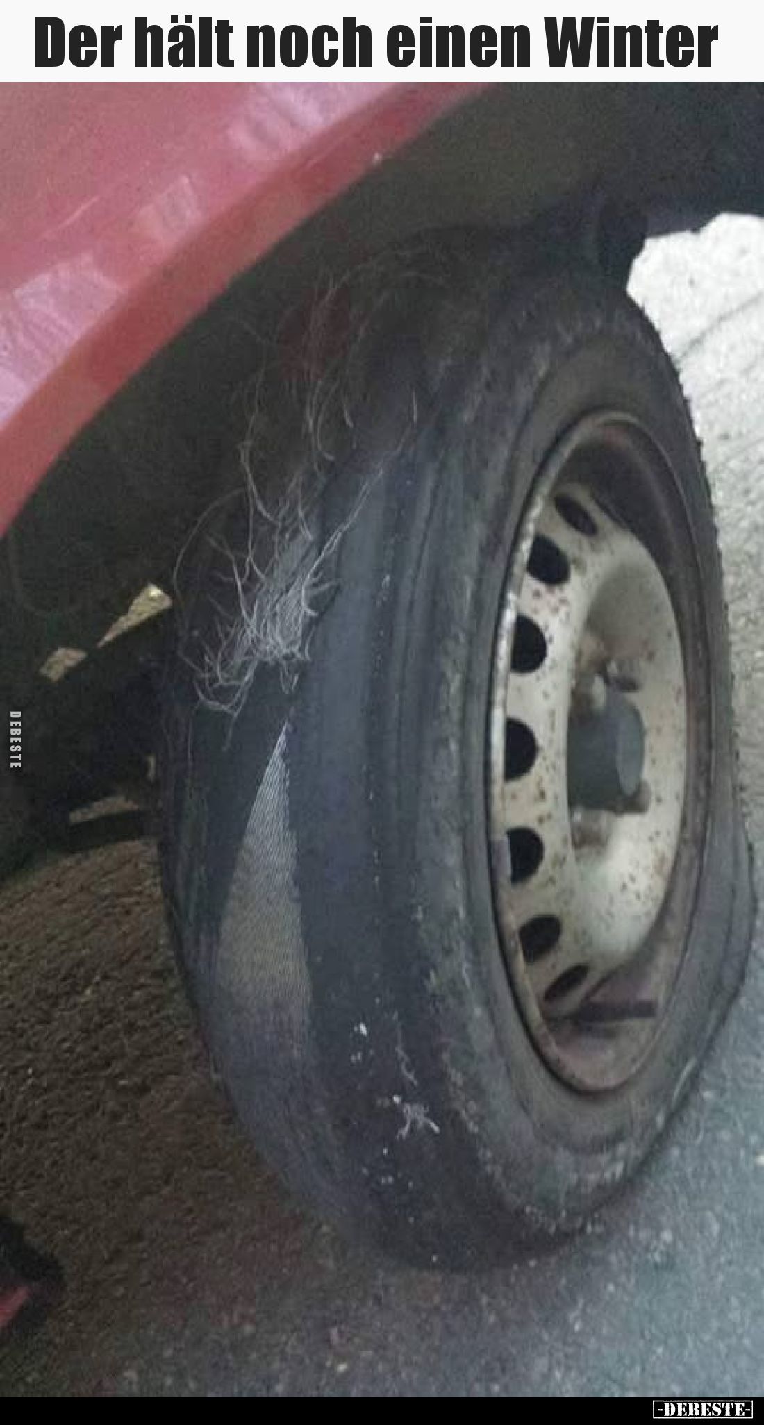 Der hält noch einen Winter