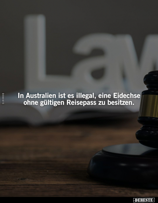 In Australien ist es illegal.. - Lustige Bilder | DEBESTE.de