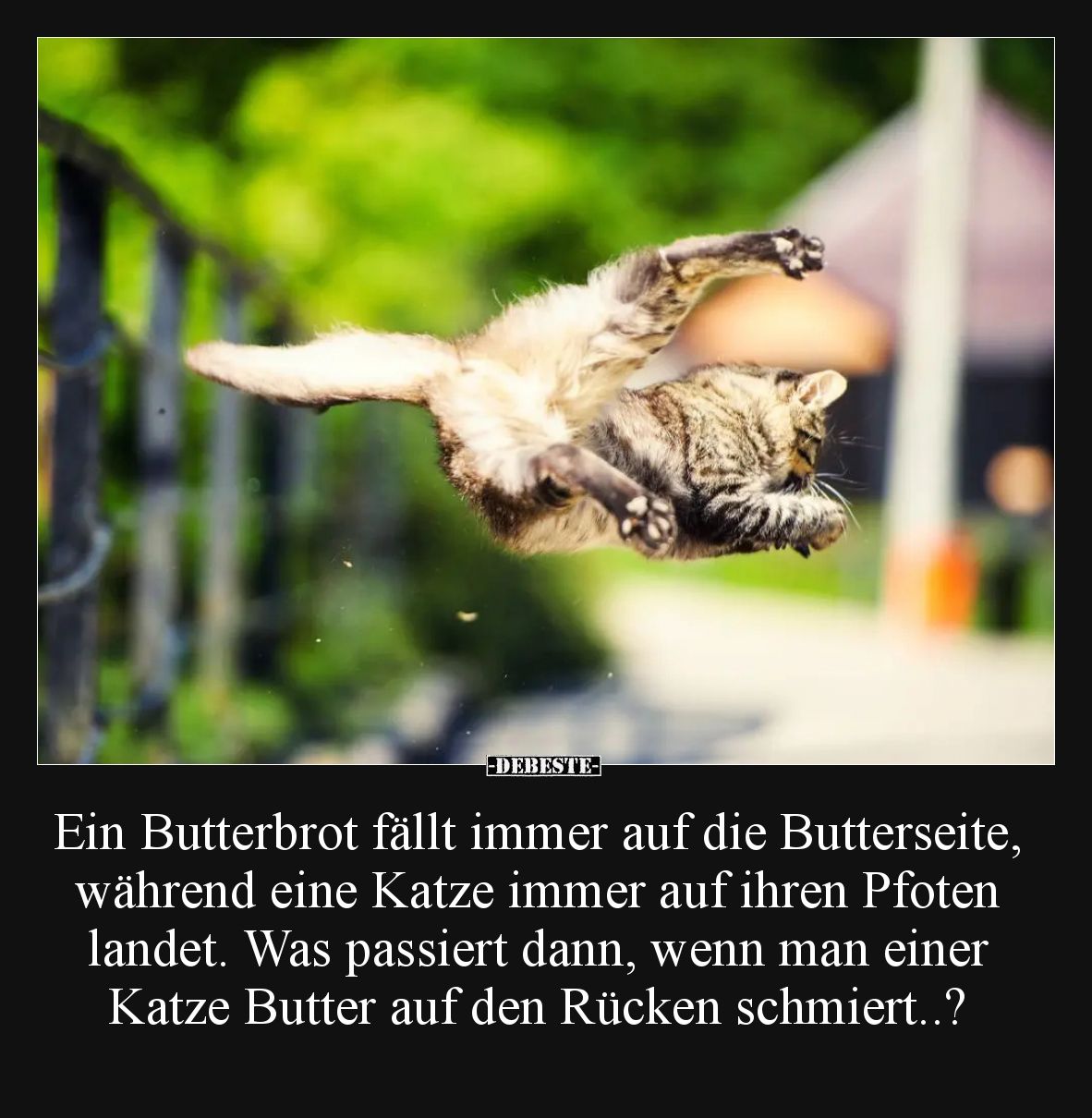 Ein Butterbrot fällt immer auf die Butterseite, während eine Katze immer auf ihren Pfoten landet. Was passiert dann, wenn man...