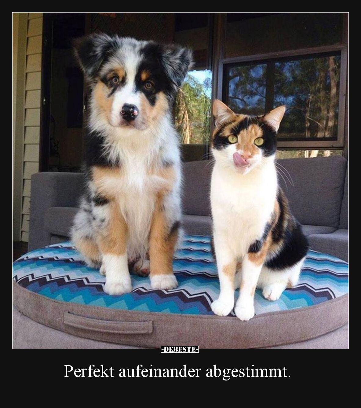 Perfekt aufeinander abgestimmt.