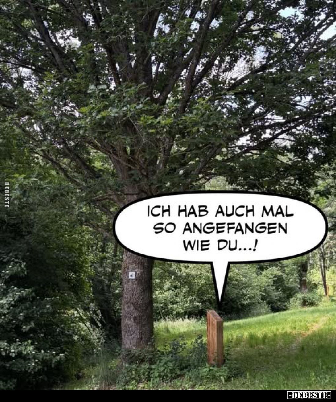 Ich hab auch mal so angefangen wie du...!