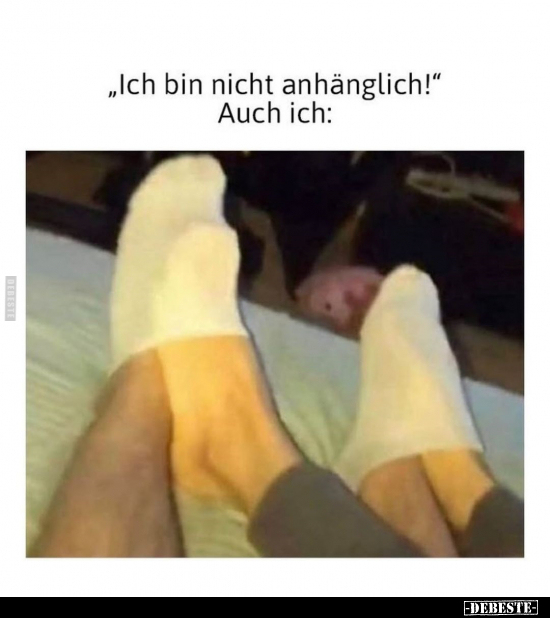"Ich bin nicht anhänglich!" Auch ich: