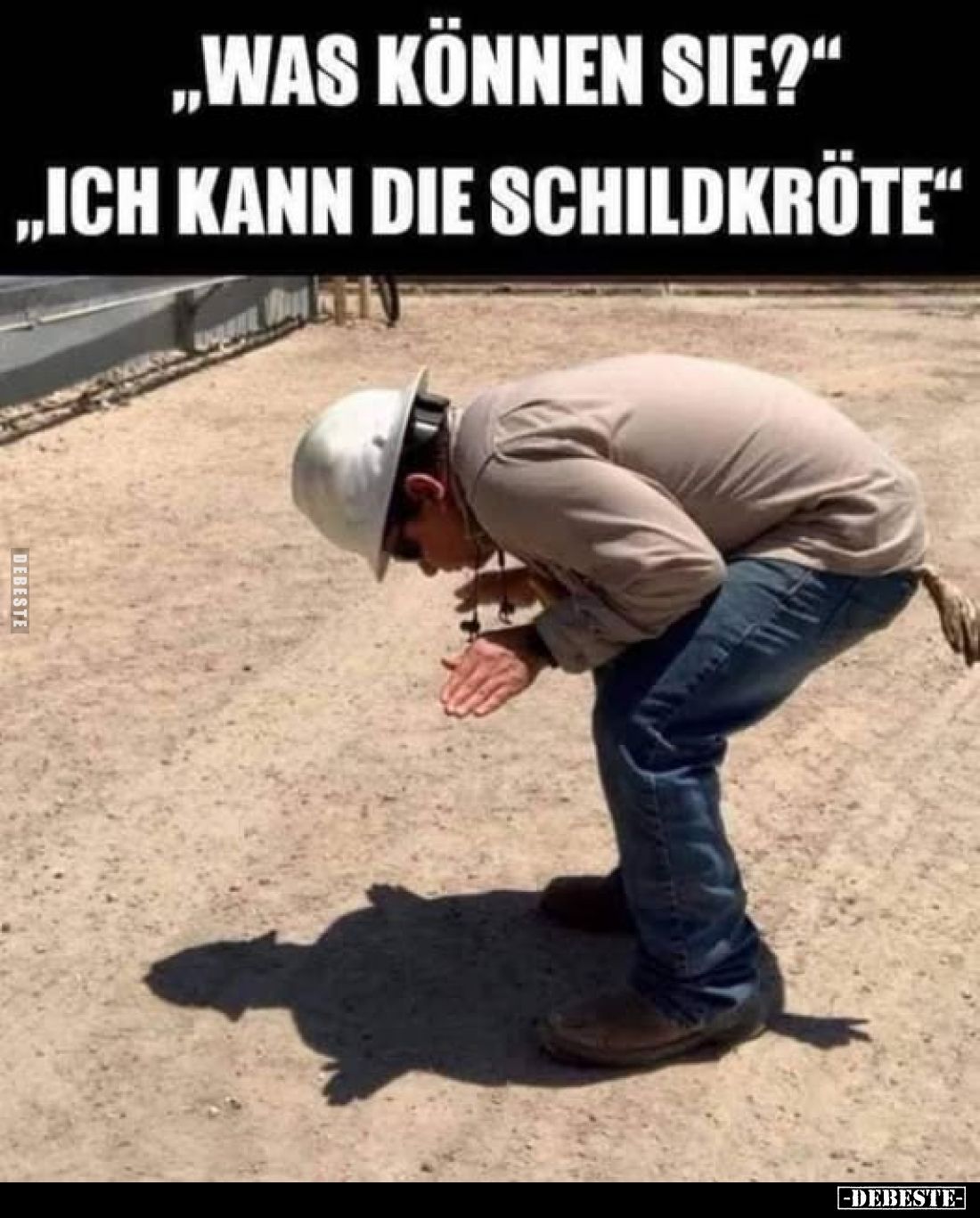 "Was können sie?" -
"Ich kann die Schildkröte."