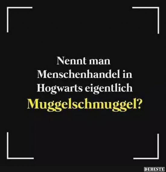 Nennt man Menschenhandel in Hogwarts eigentlich..?