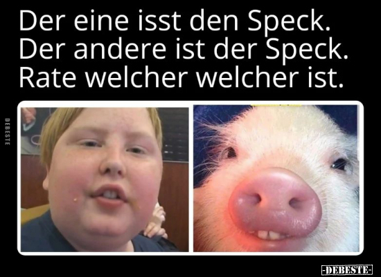  - Lustige Bilder | DEBESTE.de