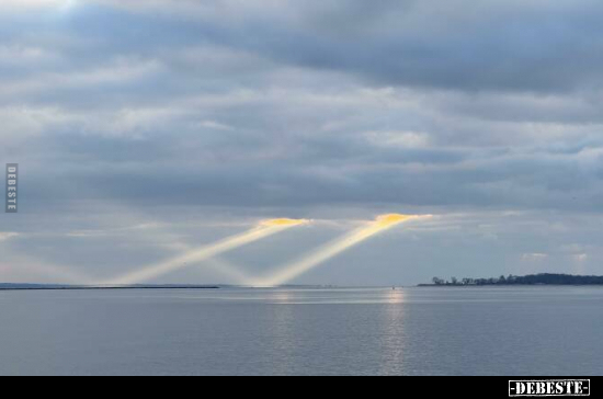  - Lustige Bilder | DEBESTE.de