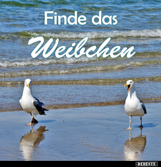 Finde das Weibchen... - Lustige Bilder | DEBESTE.de