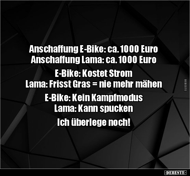 Anschaffung E-Bike: ca. 1000 Euro.. - Lustige Bilder | DEBESTE.de