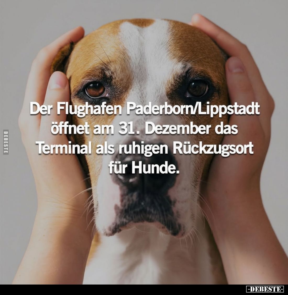 Der Flughafen Paderborn/Lippstadt öffnet am 31. Dezember.. - Lustige Bilder | DEBESTE.de