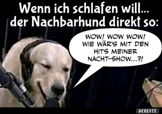 Wenn ich schlafen will... der Nachbarhund direkt so.. - Lustige Bilder | DEBESTE.de