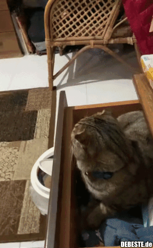 Du hast meine Kiste angefasst..