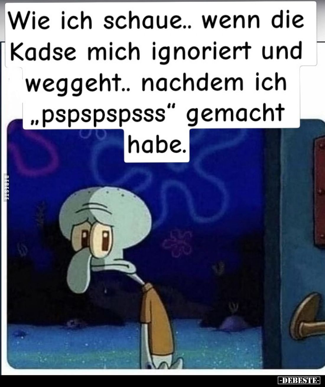 Wie ich schaue, wenn die Katze mich ignoriert und weggeht, nachdem ich „pspspspsss“ gemacht habe.