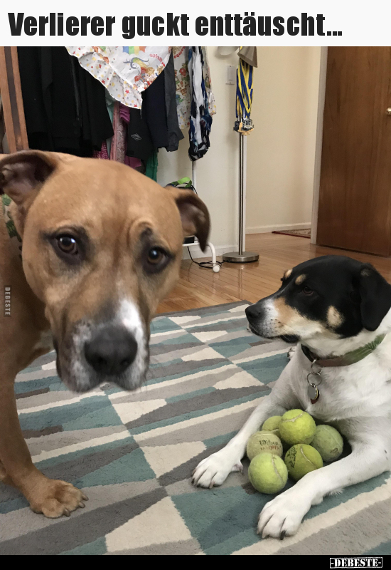 Verlierer guckt enttäuscht...