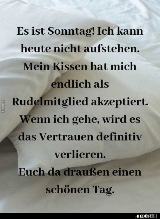 Es ist Sonntag! Ich kann heute nicht aufstehen. Mein Kissen.. - Lustige Bilder | DEBESTE.de