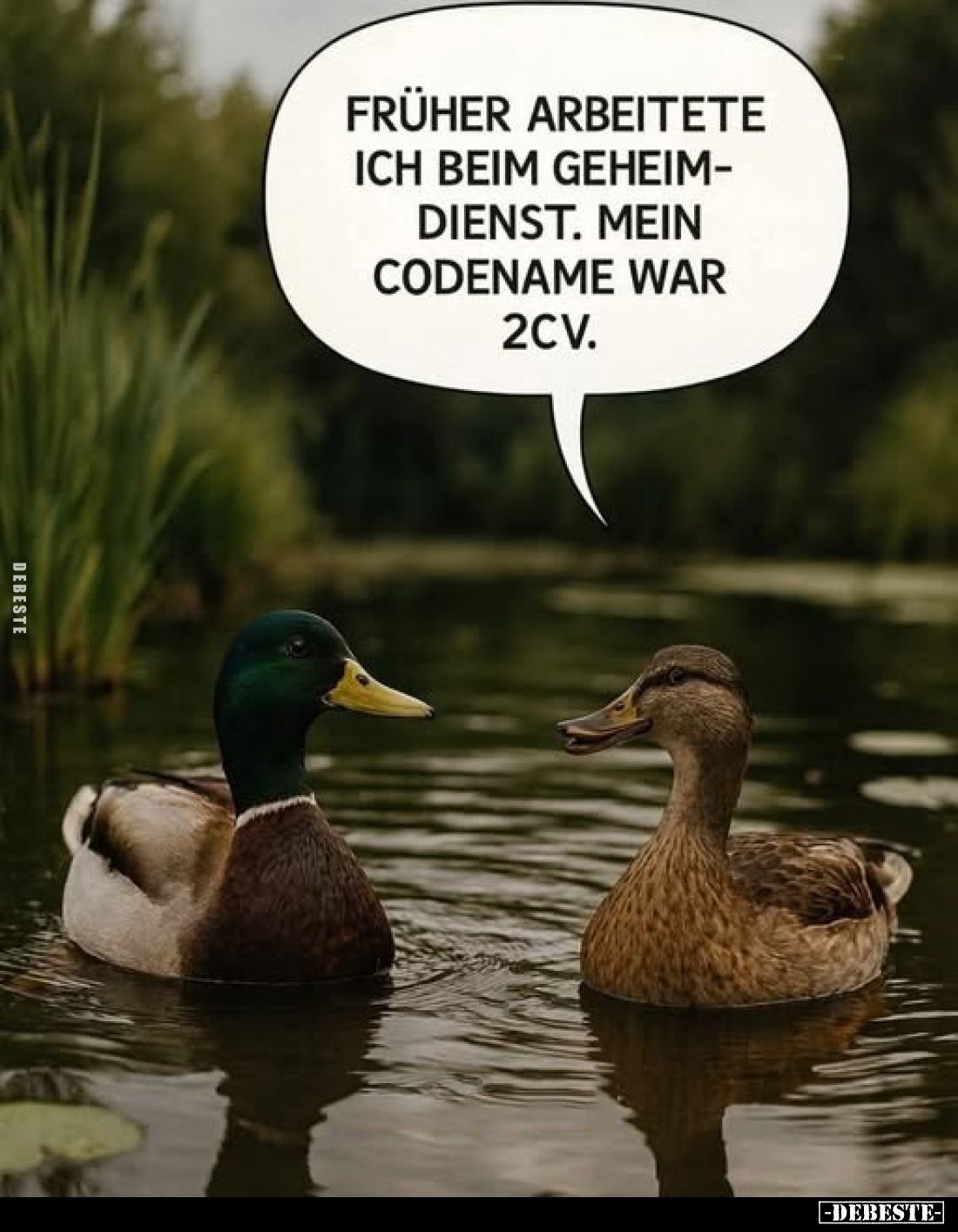 Früher arbeitete ich beim Geheimdienst. Mein Codename war 2CV.