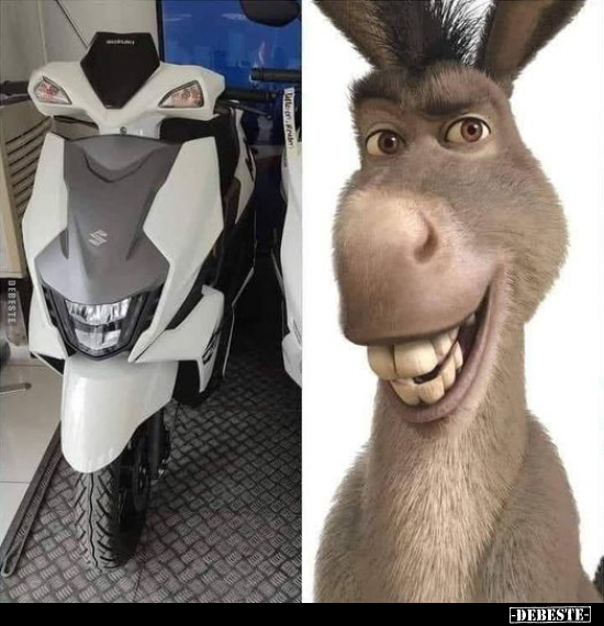  - Lustige Bilder | DEBESTE.de