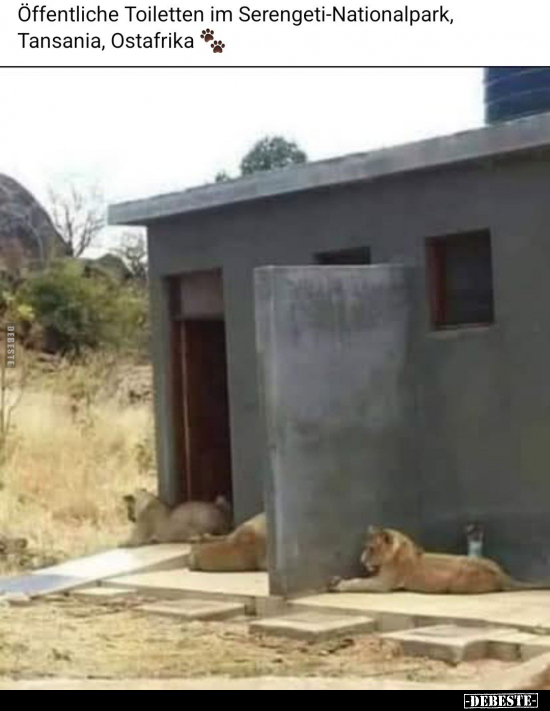 Öffentliche Toiletten im Serengeti-Nationalpark, Tansania.. - Lustige Bilder | DEBESTE.de