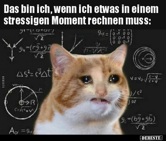 Das bin ich, wenn ich etwas in einem stressigen Moment.. - Lustige Bilder | DEBESTE.de