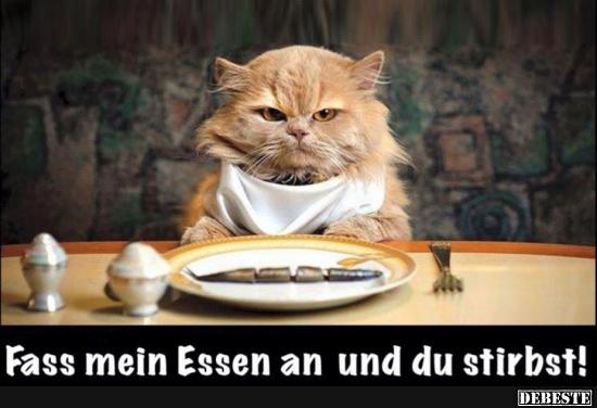 Fass mein Essen an und.. - Lustige Bilder | DEBESTE.de